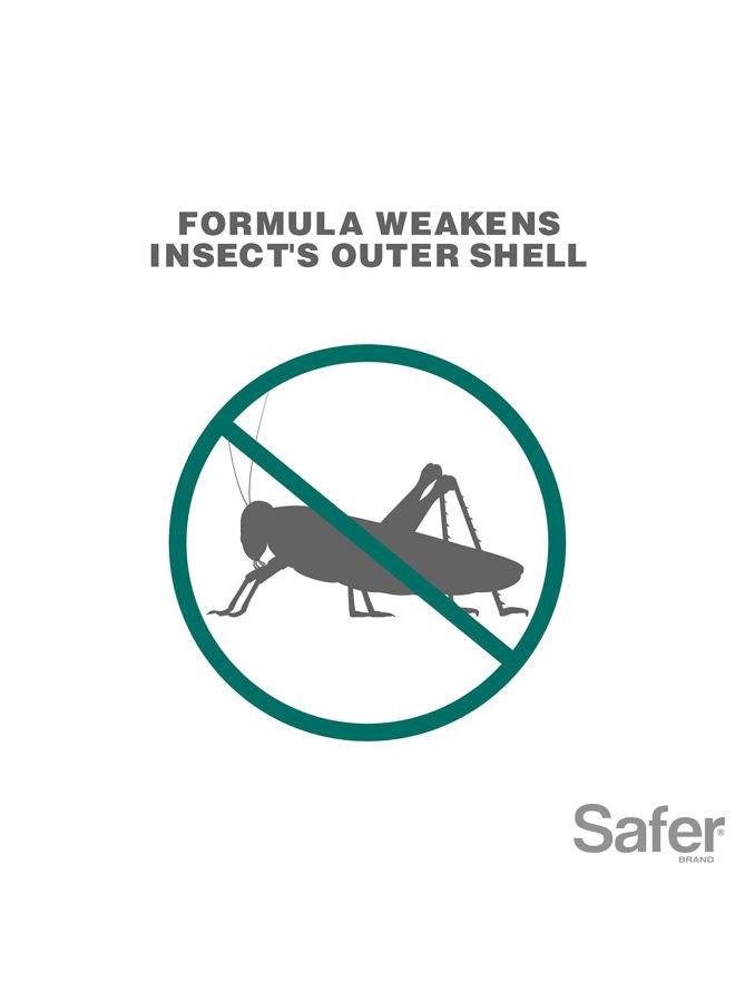 Safer 5118-6 Insect Killing Soap Concentrate - Insecticidal Soap for Plants - Kills Aphids, Whiteflies, Thrips, Spider Mites, and More - OMRI Listed for Organic Use - Image 3